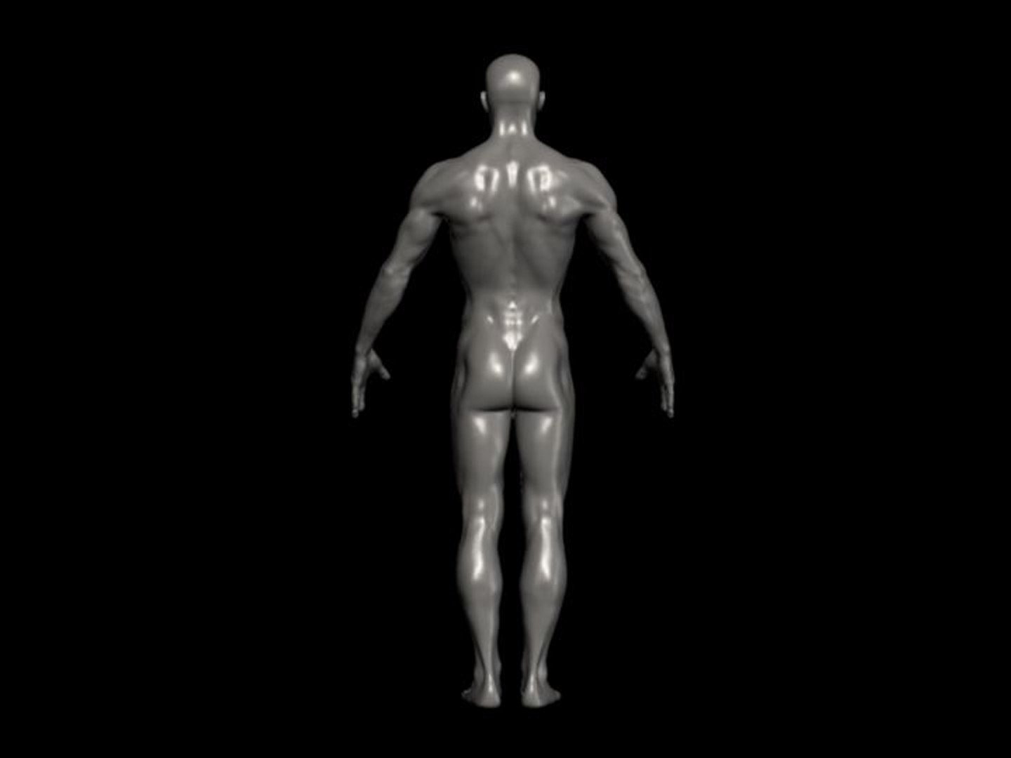 3d model human male formats https://p.turbosquid.com/ts-thumb/qM/9seYVd/REhW9f83/male_g/jpg/1210040552/1920x1080/fit_q87/d457abf2f2963456967f876148bf1127b5131d57/male_g.jpg