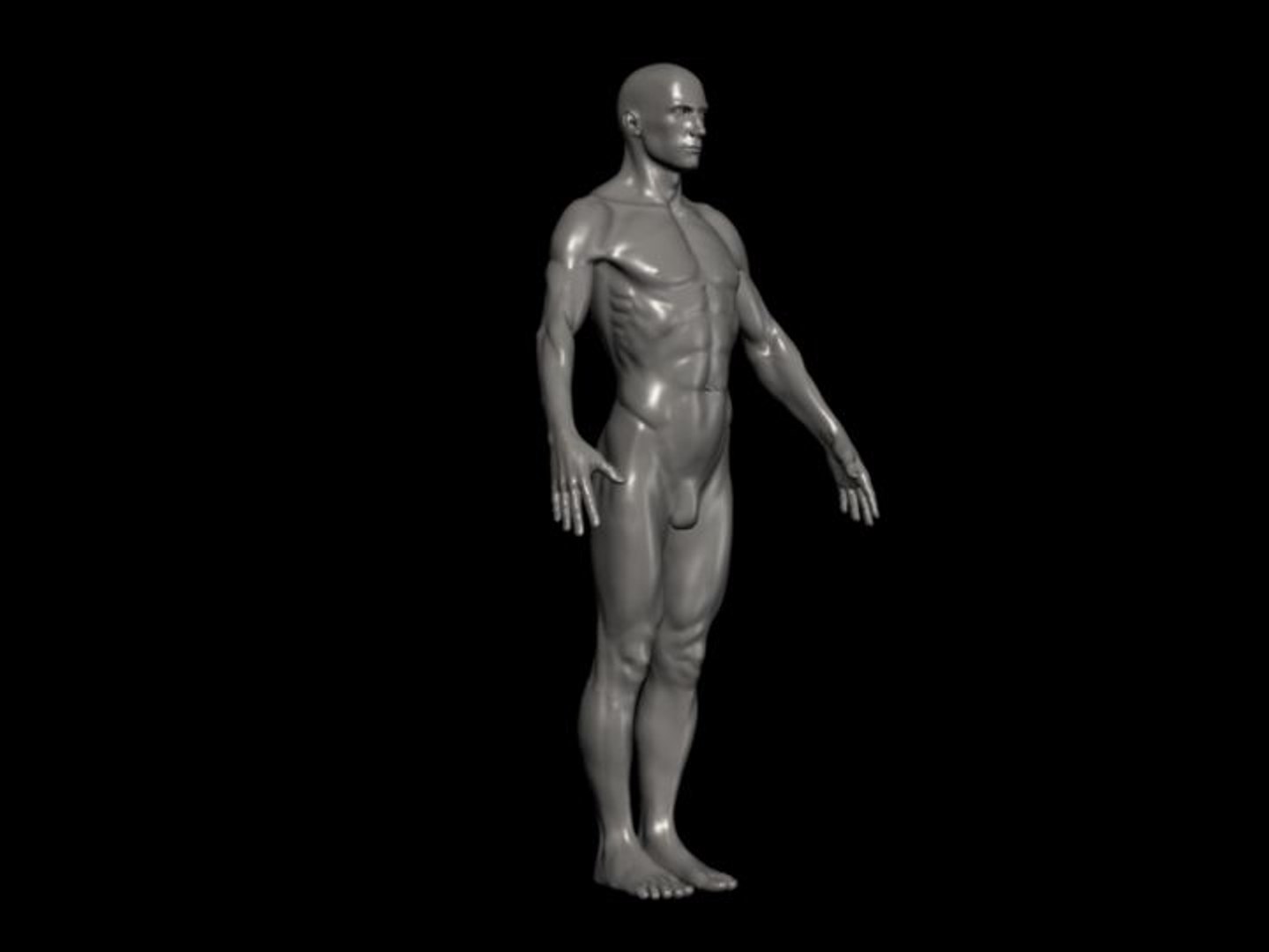 3d model human male formats https://p.turbosquid.com/ts-thumb/qM/9seYVd/RTBzVXcB/male_a1/jpg/1210040521/1920x1080/fit_q87/af9b927c6d844757e08d79253127dbd596be3c3c/male_a1.jpg