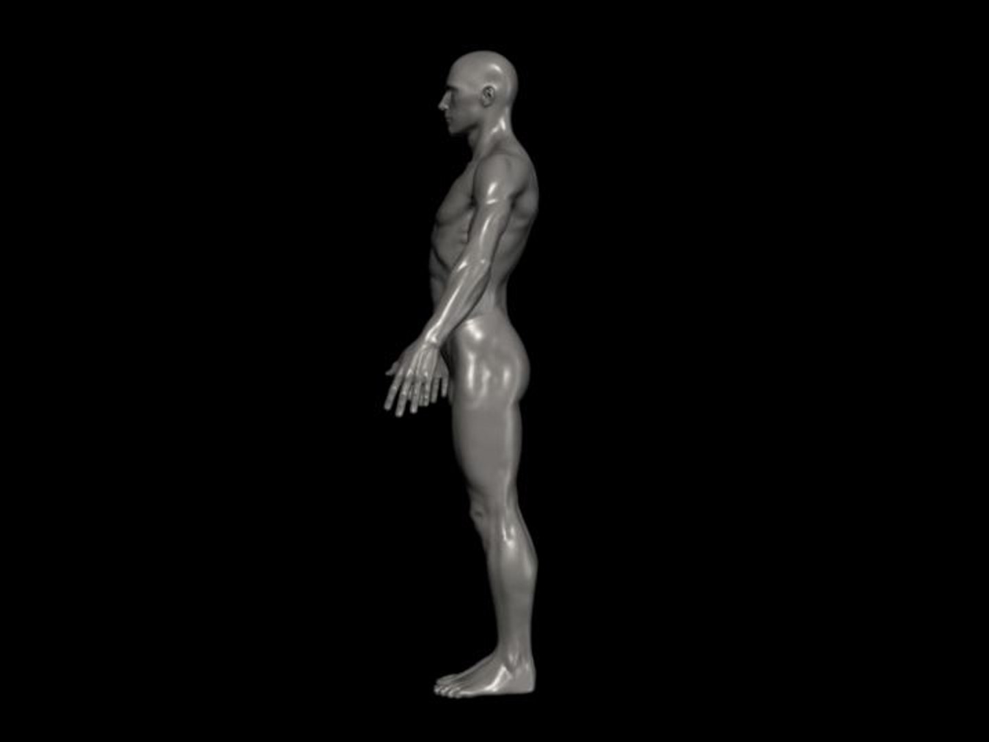 3d model human male formats https://p.turbosquid.com/ts-thumb/qM/9seYVd/f6qh0Xij/male_e/jpg/1210040539/1920x1080/fit_q87/152e5756d4d68d7766ab7ade5624f7ee1735e54b/male_e.jpg