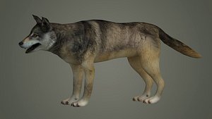 3D wolf animal low poly fur black arctic american mammal model