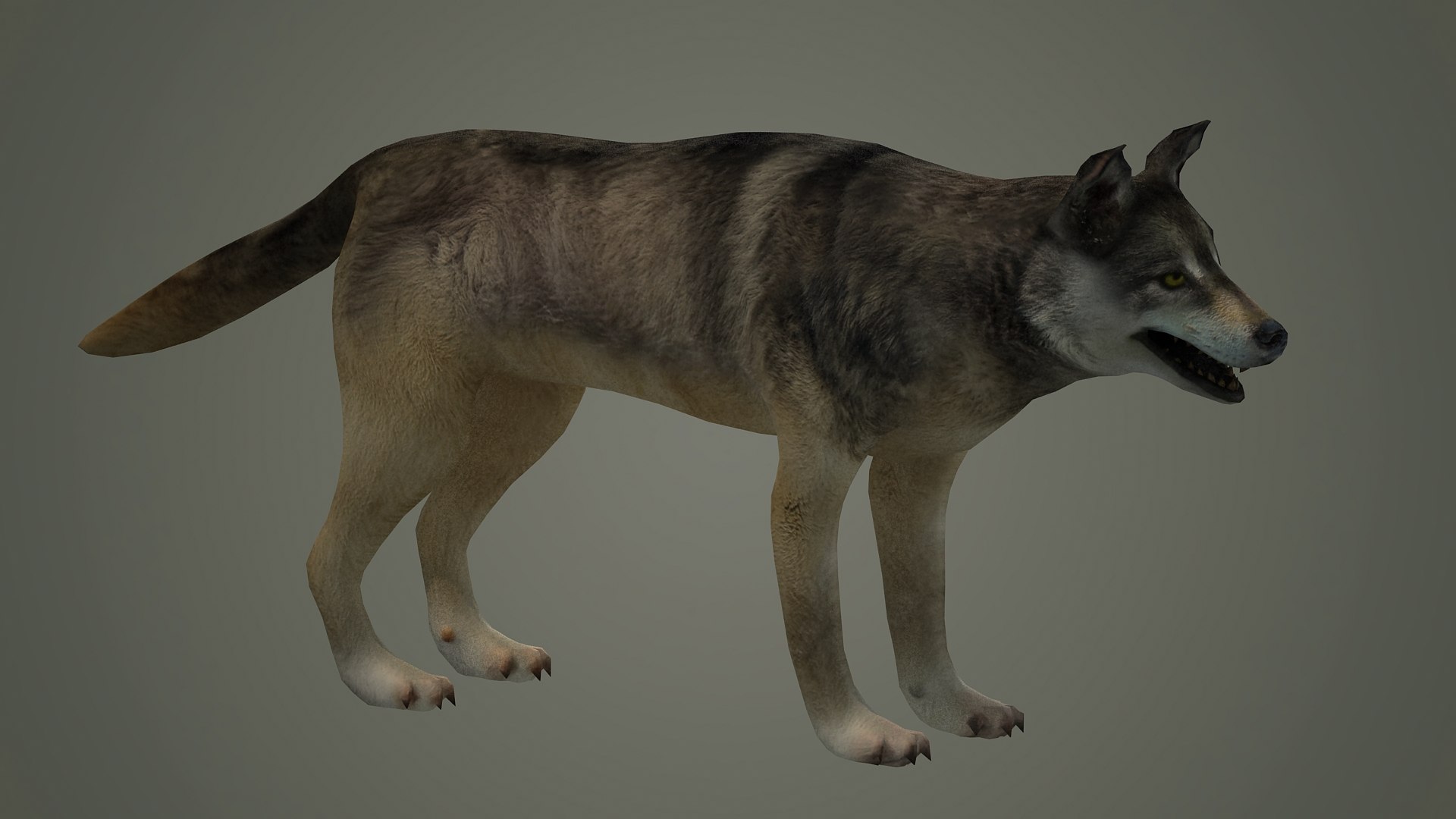 3D Wolf Animal Low Poly Fur Black Arctic American Mammal Model ...
