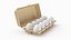 Egg Carton 02 3D Model