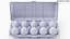 Egg Carton 02 3D Model