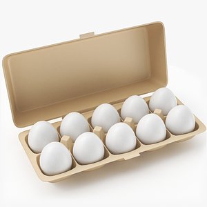 Egg Carton 02 3D Model