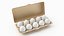 Egg Carton 02 3D Model