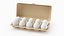 Egg Carton 02 3D Model