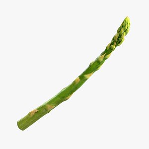 Asparagus 06 Green 3D