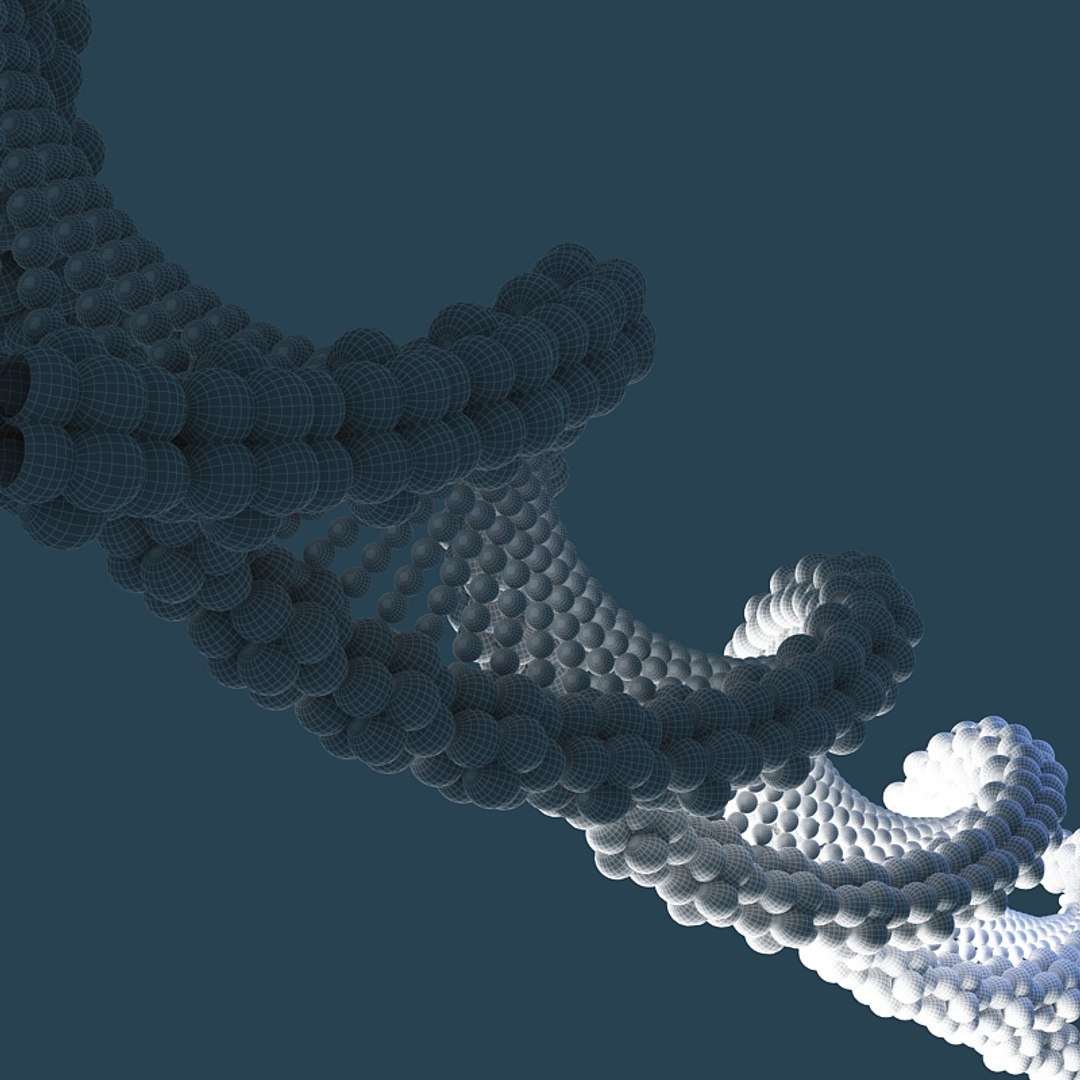 dna 3d model https://p.turbosquid.com/ts-thumb/qM/k4GsPc/Rw04HiCH/dna2/jpg/1370368521/1920x1080/fit_q87/a0bc3e9dd1ccff2ba7721169afcc7f58852c697f/dna2.jpg