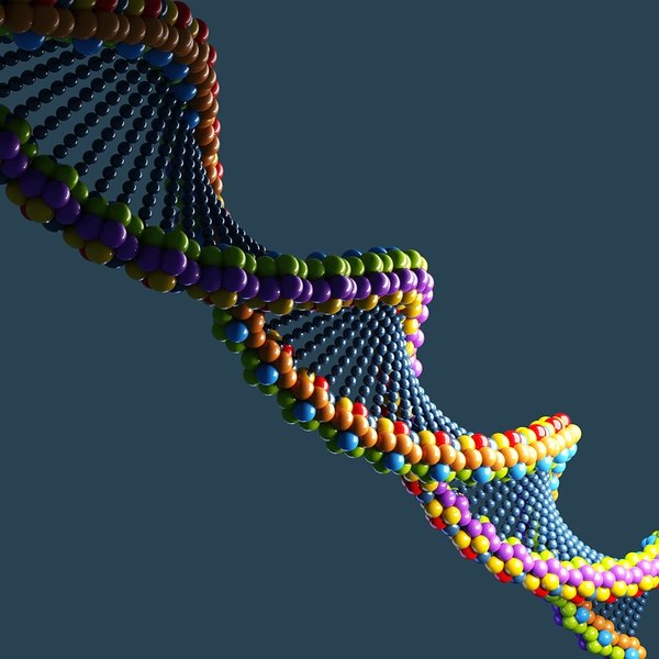 dna 3d model