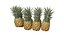 Pineapple Wooden Crate