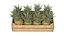 Pineapple Wooden Crate
