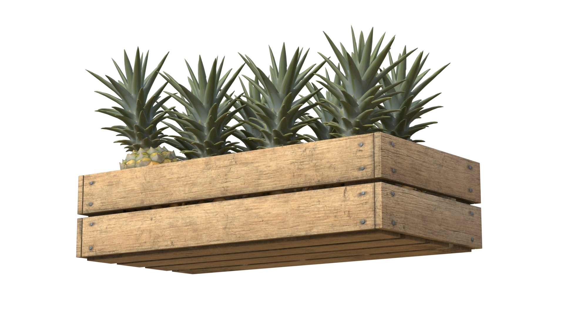 Pineapple Wooden Crate 3D model https://p.turbosquid.com/ts-thumb/qM/kj4GrA/tc/3/jpg/1778658629/1920x1080/fit_q87/83914c90bc964bbc8d5deabc1311c6185d911c05/3.jpg