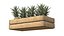Pineapple Wooden Crate