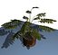 10 Plants