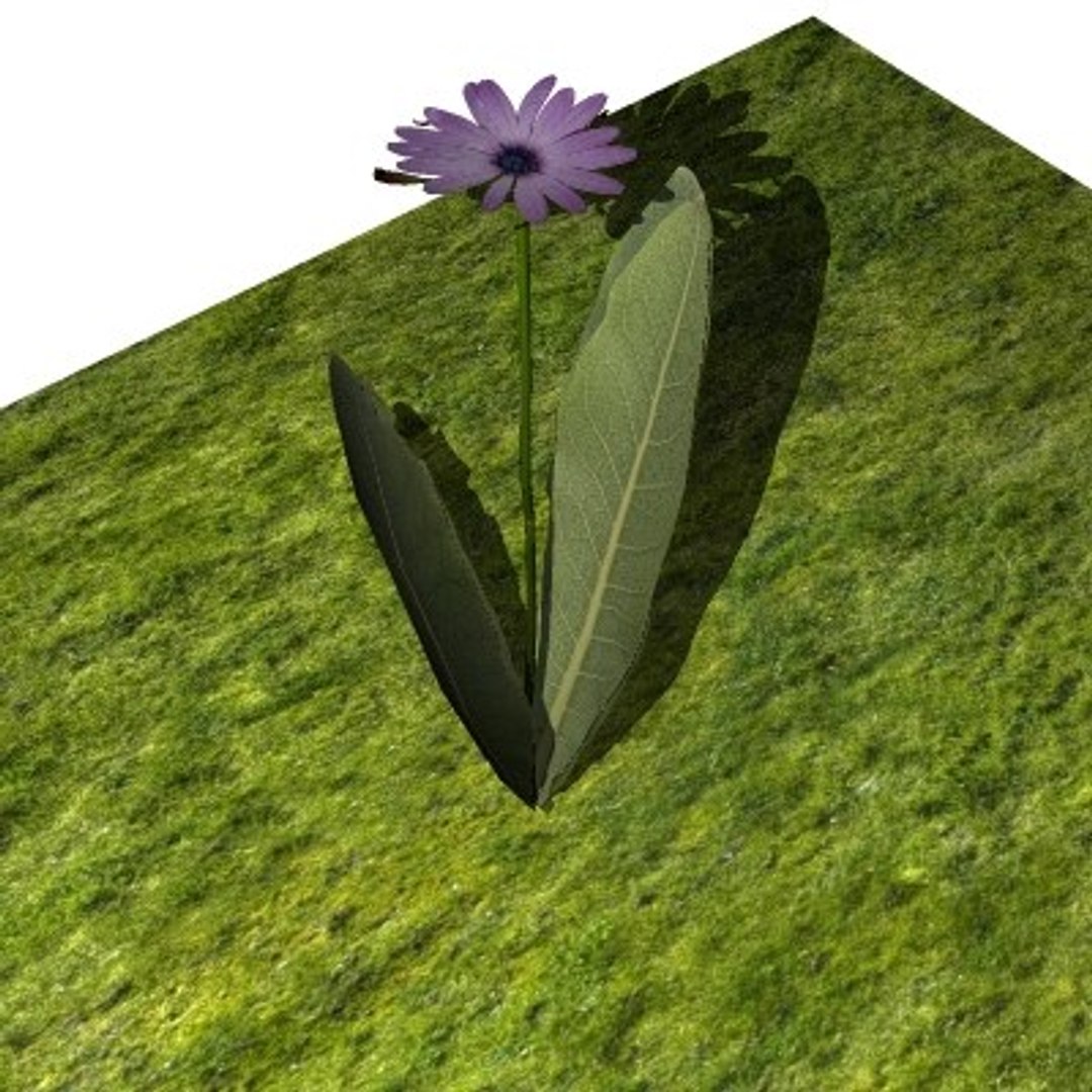 10 plants 3d model https://p.turbosquid.com/ts-thumb/qM/laauaa/EPnSSswW/flower1/jpg/1272095266/1920x1080/fit_q87/94ca1a2df5e6e9705cf648c22f738c975dffe5ba/flower1.jpg