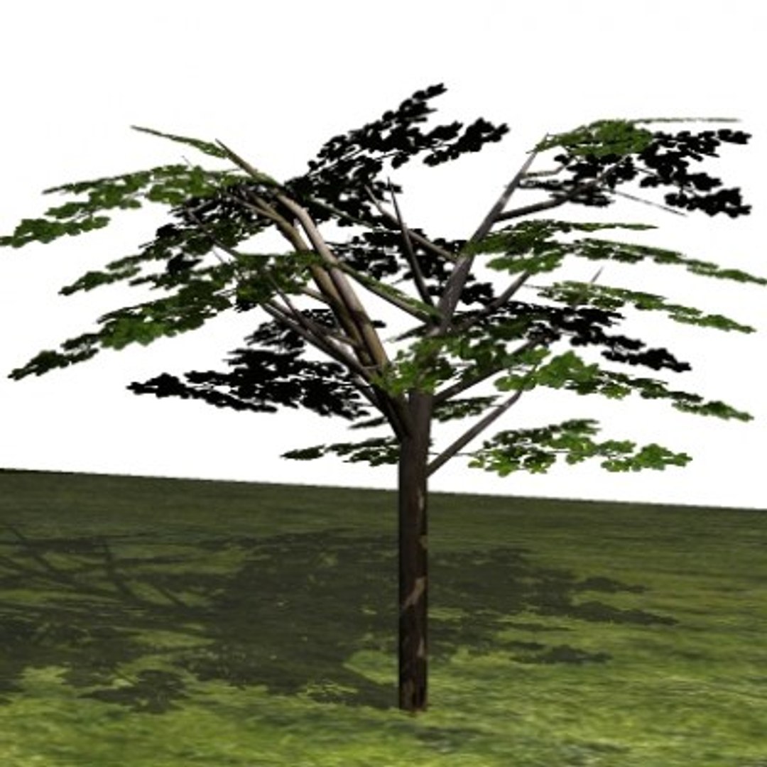 10 plants 3d model https://p.turbosquid.com/ts-thumb/qM/laauaa/LYvKXAck/small_tree_2/jpg/1272095266/1920x1080/fit_q87/1e6ad7b79f3156ae077a00f59223b0e424ee110f/small_tree_2.jpg