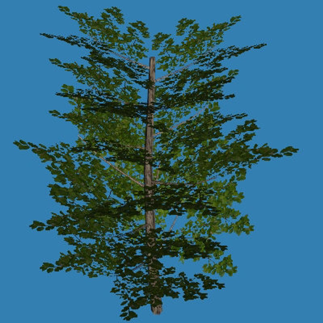 10 plants 3d model https://p.turbosquid.com/ts-thumb/qM/laauaa/NrZ6Qdyn/tree2/jpg/1272096382/1920x1080/fit_q87/c06c78ac0d3084b0fc56dd6967174918455ec3b9/tree2.jpg