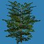 10 Plants
