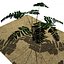 10 Plants