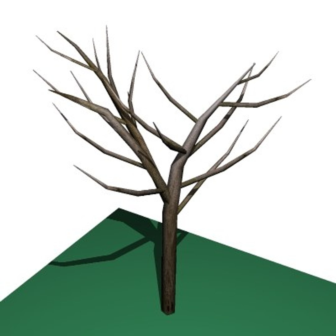 10 plants 3d model https://p.turbosquid.com/ts-thumb/qM/laauaa/ePK03k4A/small_tree/jpg/1272095266/1920x1080/fit_q87/ba623184a396f32fd4c60843c0b54243968dcfe2/small_tree.jpg