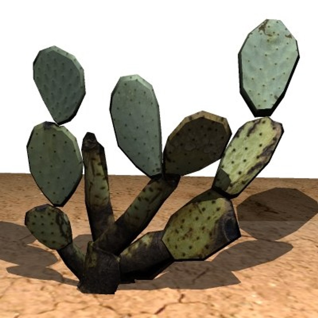 10 plants 3d model https://p.turbosquid.com/ts-thumb/qM/laauaa/exwPxBne/cactus/jpg/1272095266/1920x1080/fit_q87/594e542a7685ee2a3b58acbce0ee843e07712a1f/cactus.jpg