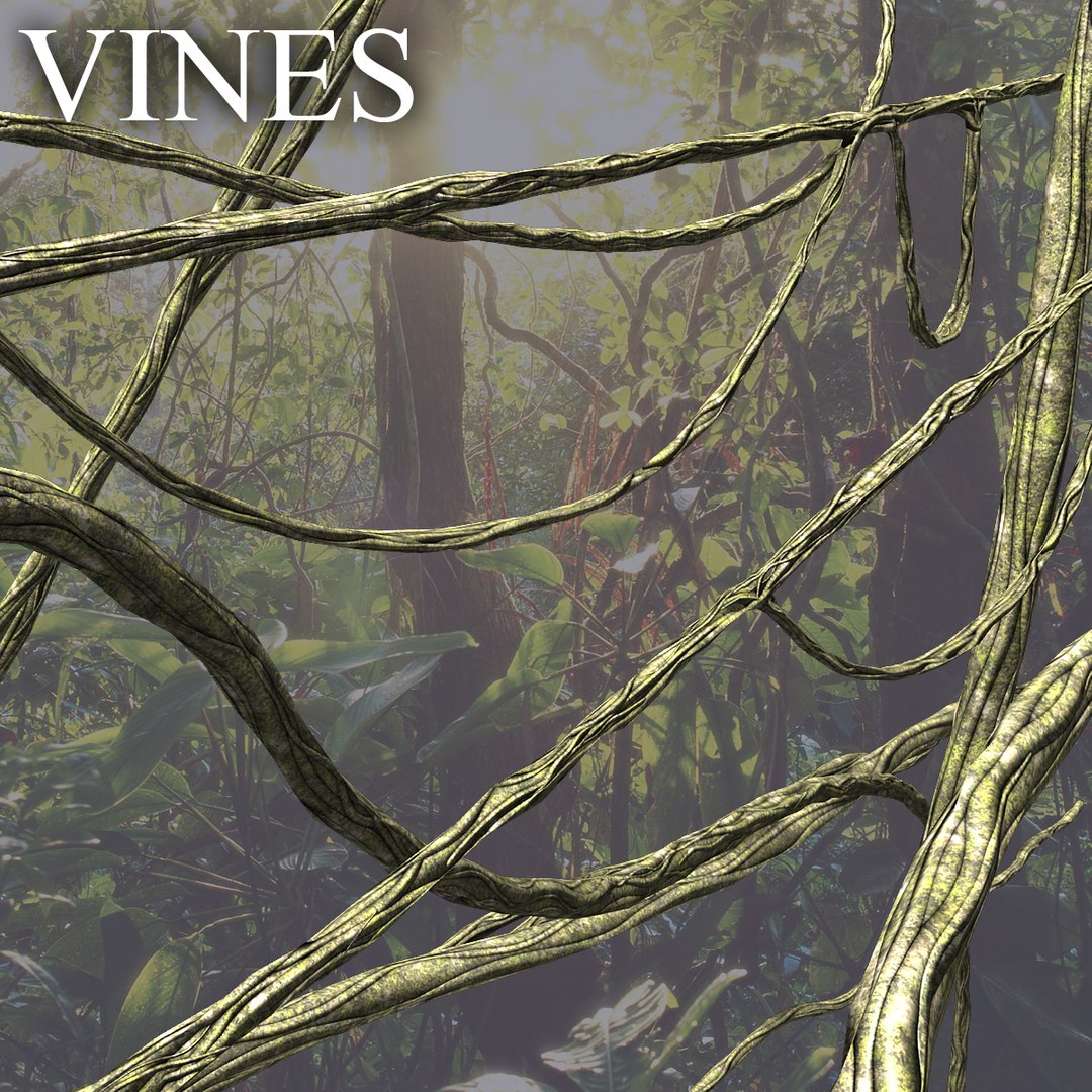 Jungle Vines