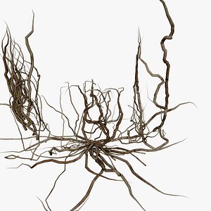 3D Wood Roots PBR v3