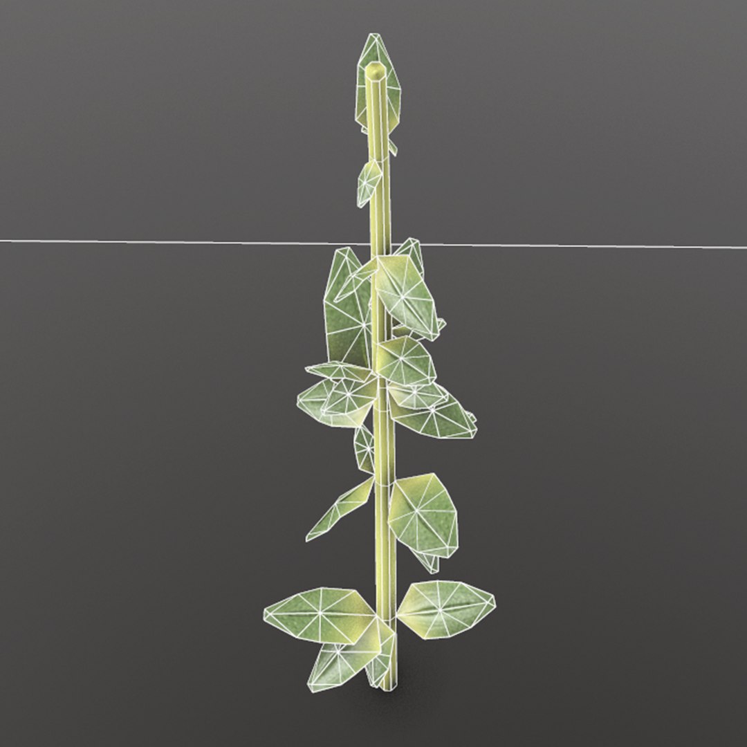 thyme ready games 3D model https://p.turbosquid.com/ts-thumb/qM/wxgVo8/I4mFcuTV/4_thyme/png/1527097369/1920x1080/fit_q87/a551f9bd1992855dc8e8b283a49ba1d0f788525d/4_thyme.jpg