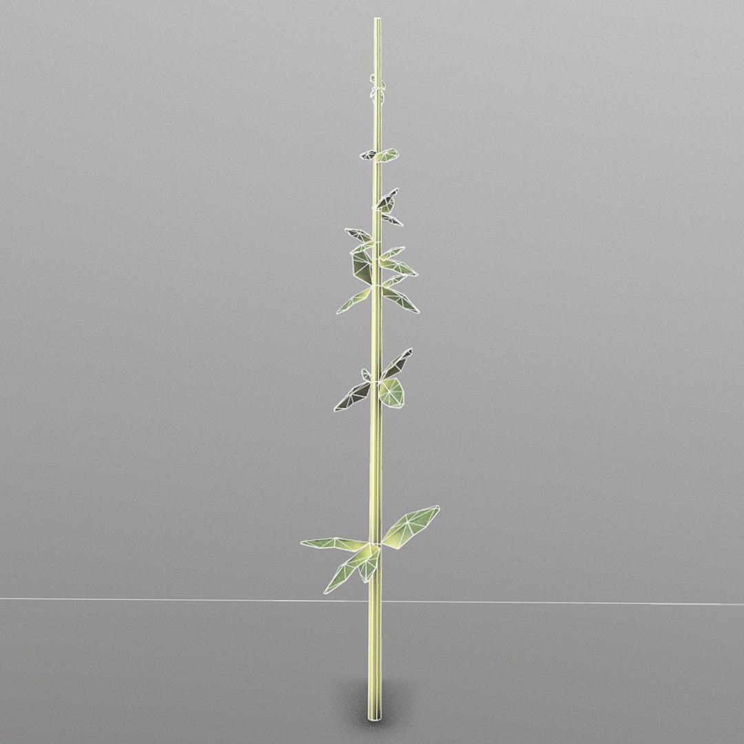 thyme ready games 3D model https://p.turbosquid.com/ts-thumb/qM/wxgVo8/PU7RxlNr/5_thyme/png/1527097369/1920x1080/fit_q87/97cfd72745314615936df5c0046c9aa8b9bc5f41/5_thyme.jpg