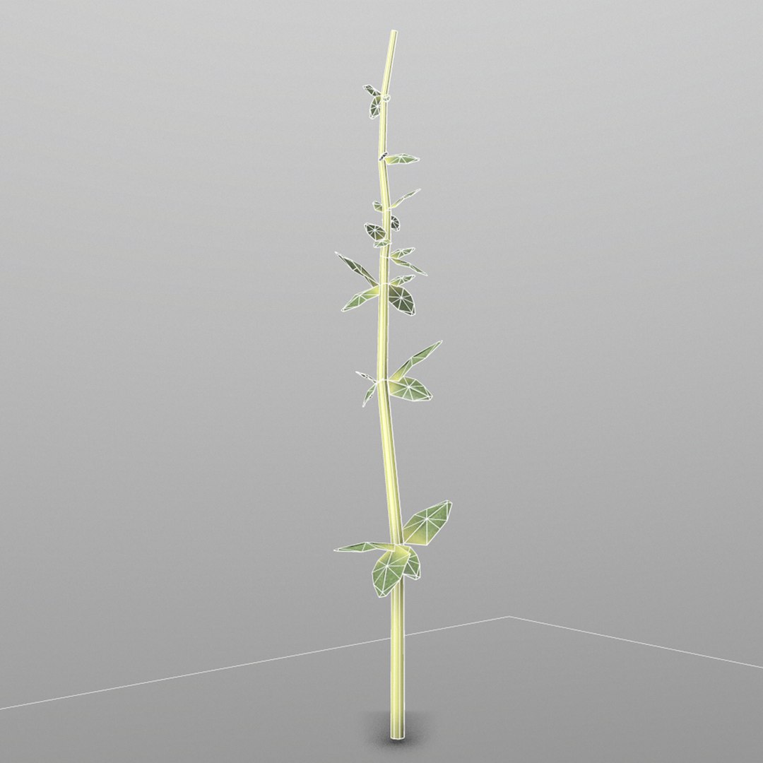 thyme ready games 3D model https://p.turbosquid.com/ts-thumb/qM/wxgVo8/y548IabC/2_thyme/png/1527097369/1920x1080/fit_q87/f035def2fe4bc0812933f6e0178ed225d00379c9/2_thyme.jpg