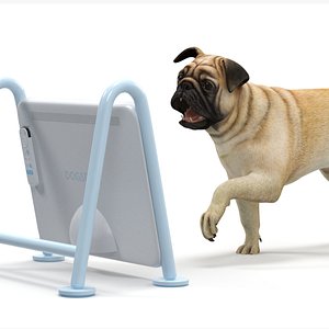 Pug Dog Watching Dogsplay TV Rigged for Cinema 4D 3D model