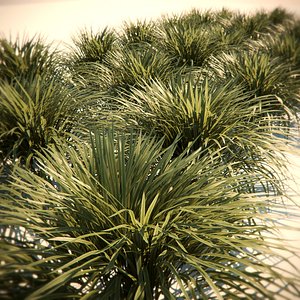 HQ-Vegetation - Wild grass