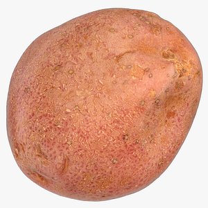 red potato 02 model