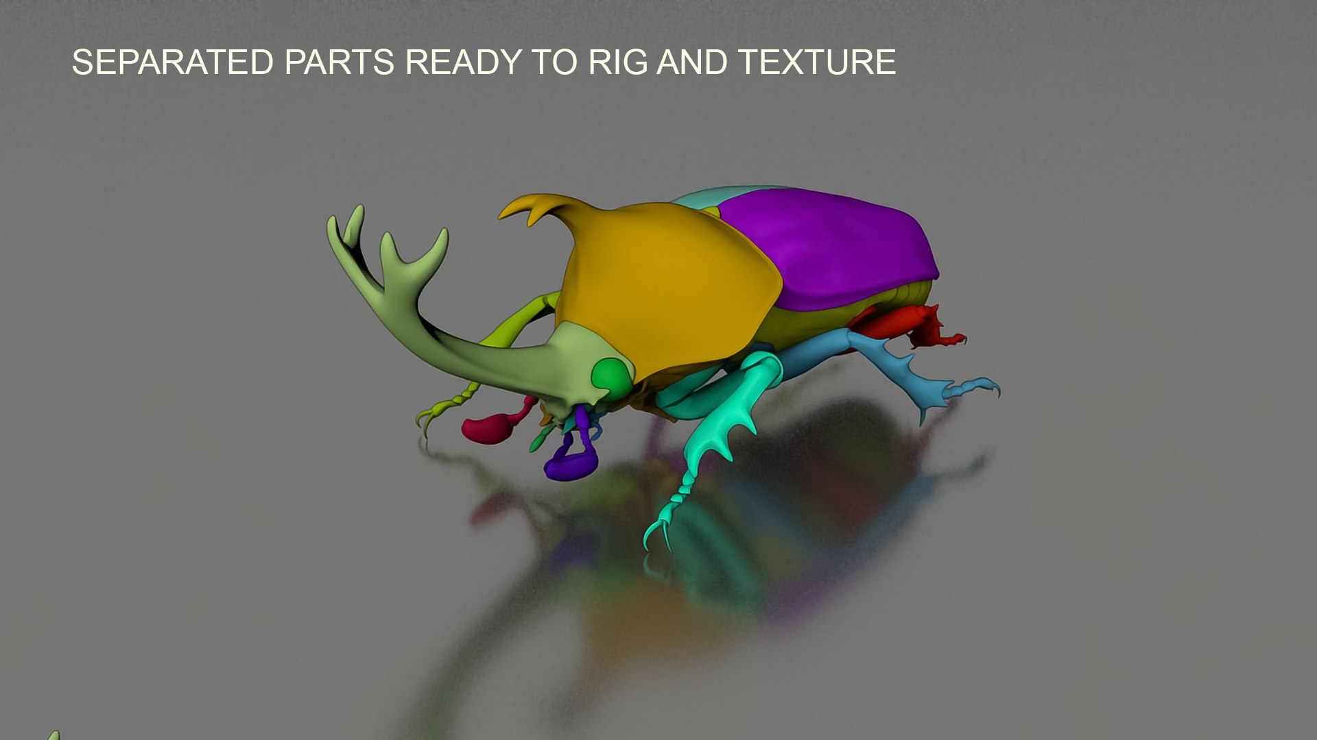 3D Realistic Insects Pack - Volume 02 Model - TurboSquid 2377037