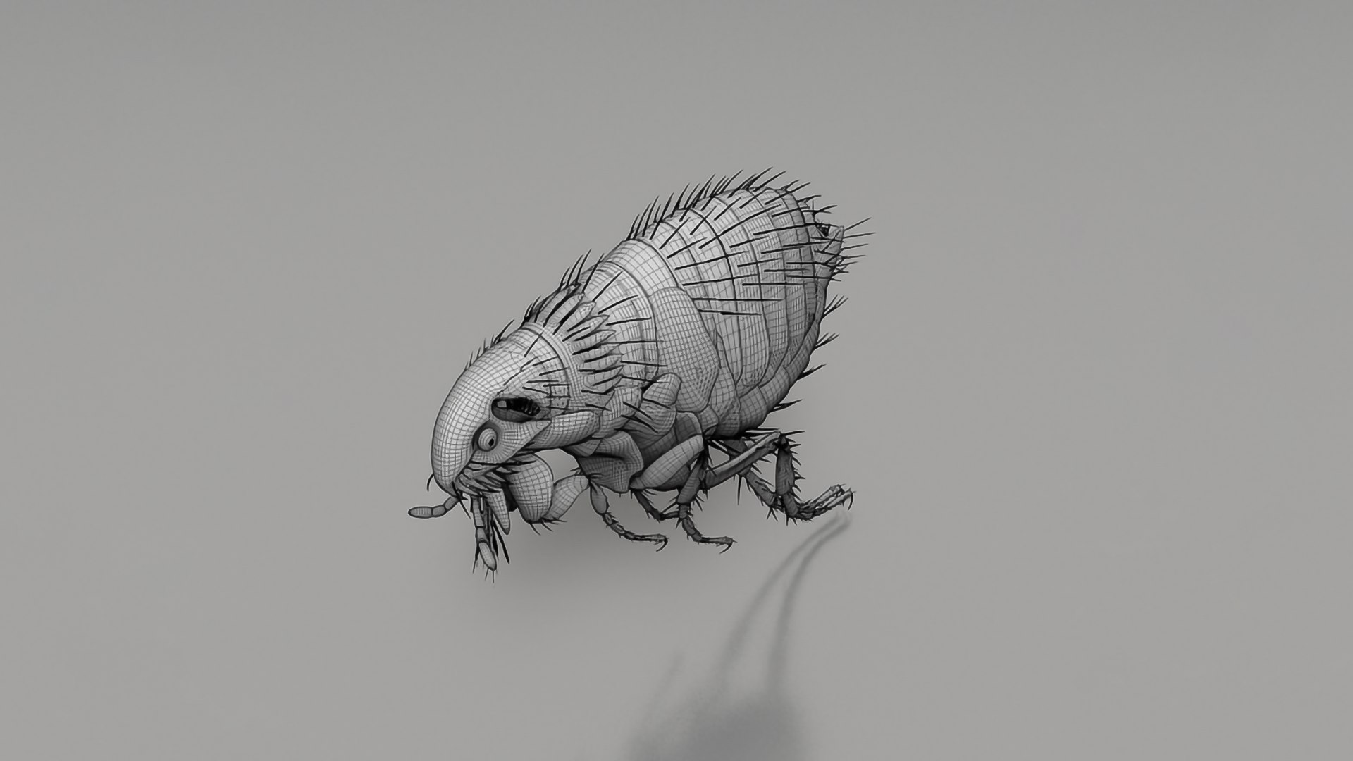 3D Realistic Insects Pack - Volume 02 Model - TurboSquid 2377037
