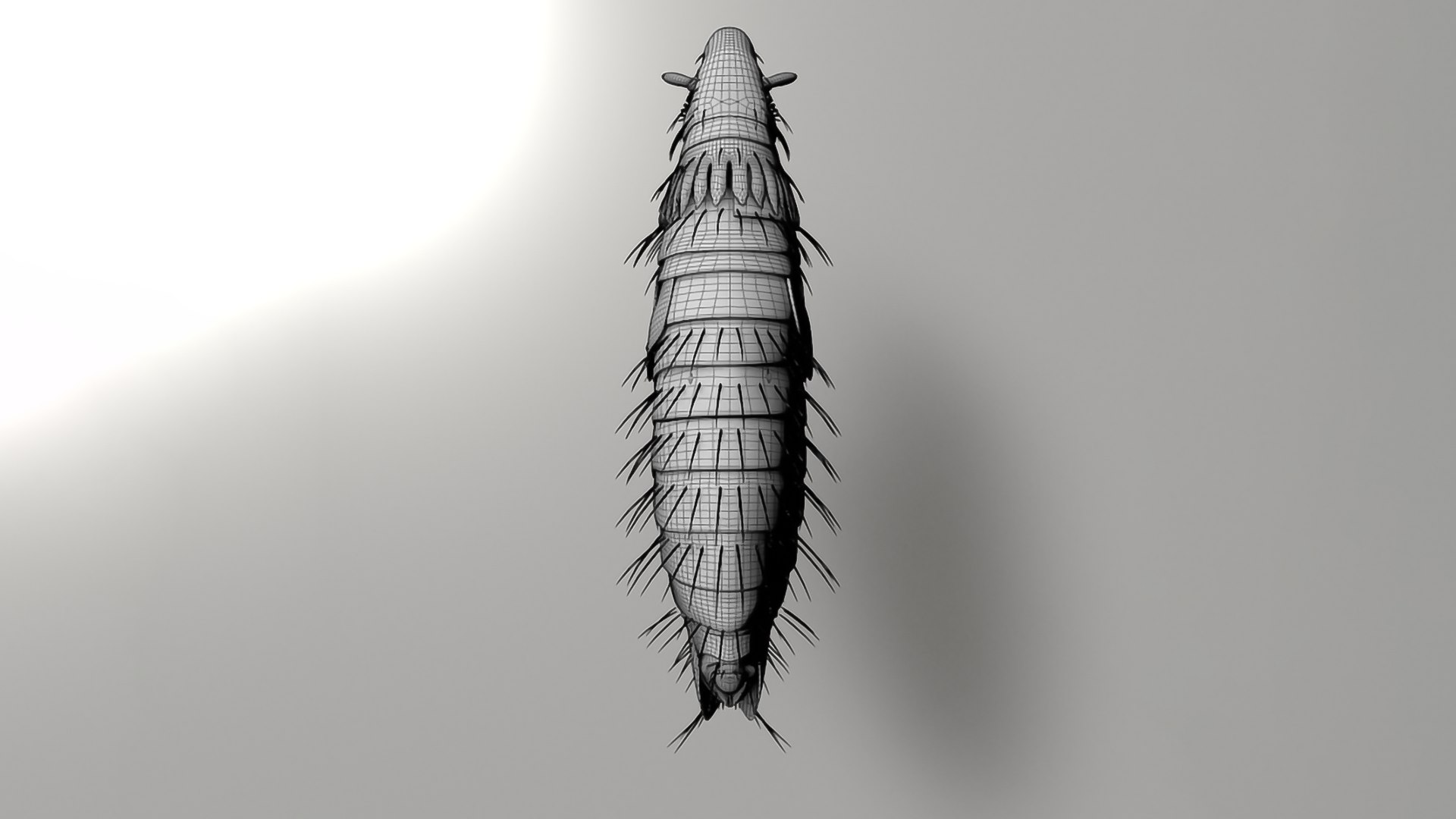 3D Realistic Insects Pack - Volume 02 Model - TurboSquid 2377037