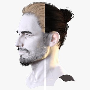 Sleek Man Bun with Trimmed Beard -Game-Ready Asset model