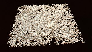 Organic fibrous Tissue