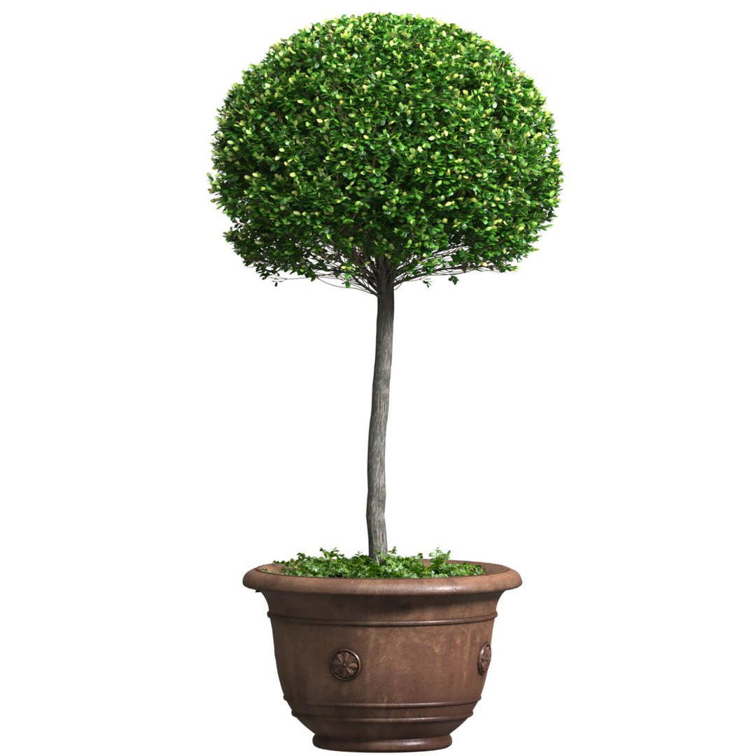 Decorative Tree In A Garden Pot Front Entry Tree Patio Porch 3D Model ...