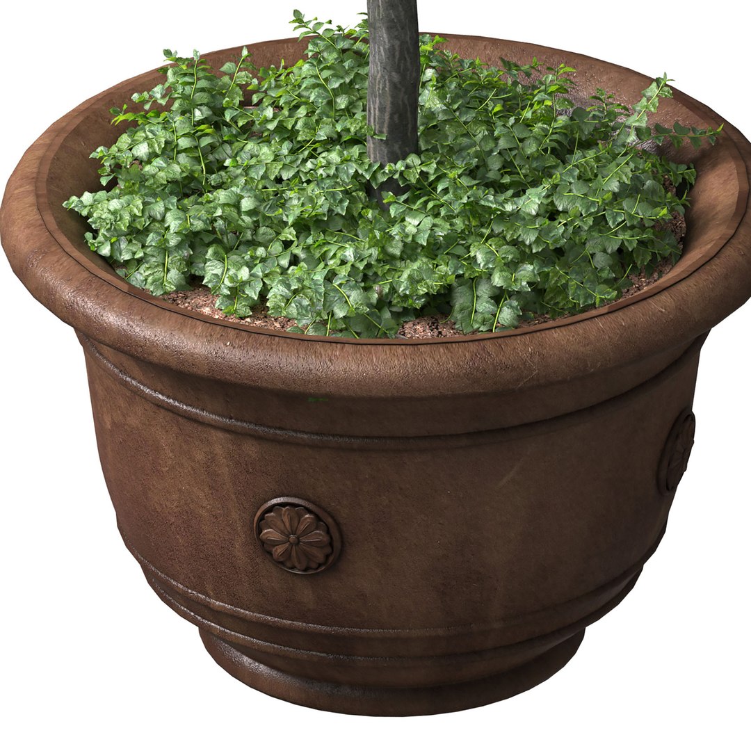 Decorative Tree In A Garden Pot Front Entry Tree Patio Porch 3D Model ...