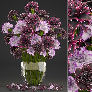 3D bouquet flowers dianthus