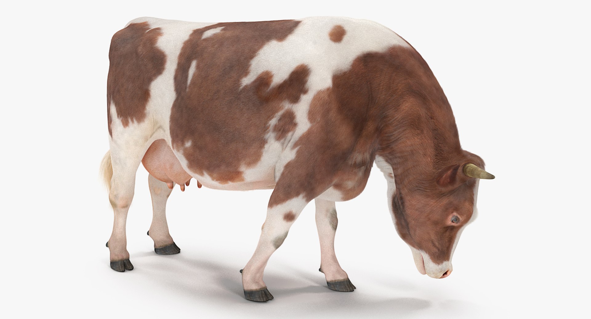 Rigged Farm Animals Big Collection 4 3D model https://p.turbosquid.com/ts-thumb/qN/YQ8afj/0R/rigged_farm_animals_big_collection_4_047/jpg/1765203579/1920x1080/fit_q87/edaef15ca3a3482f2270c23ba61d83e1da2d9096/rigged_farm_animals_big_collection_4_047.jpg
