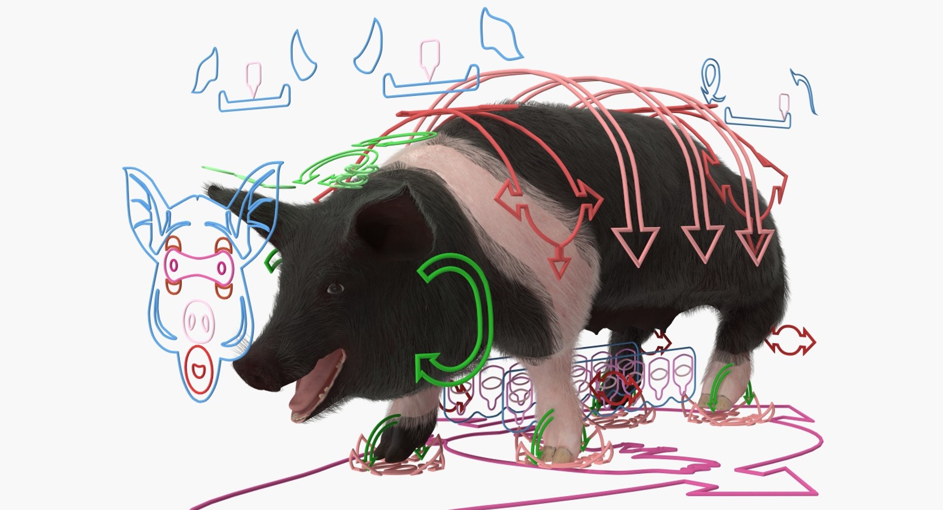 Rigged Farm Animals Big Collection 4 3D model https://p.turbosquid.com/ts-thumb/qN/YQ8afj/4Y/rigged_farm_animals_big_collection_4_019/jpg/1765203565/1920x1080/fit_q87/ad32a66204a700d69786326105183abf00729918/rigged_farm_animals_big_collection_4_019.jpg
