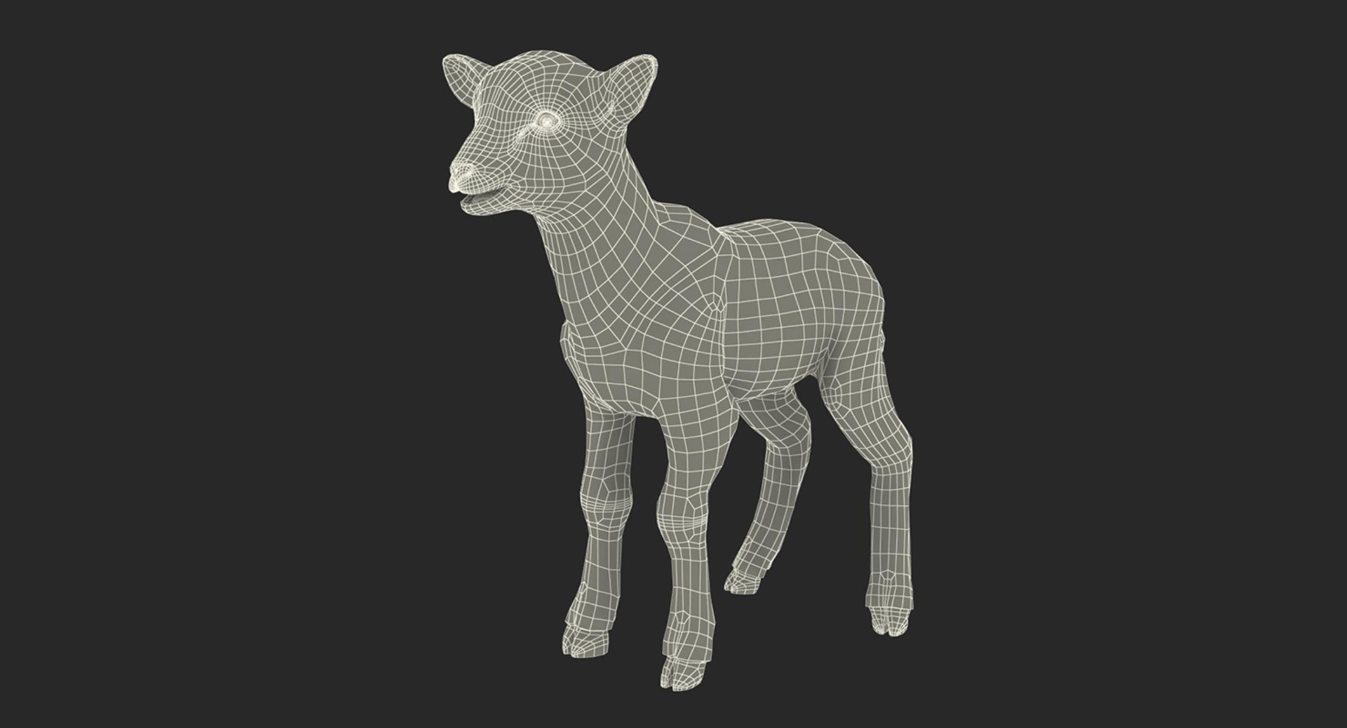 Rigged Farm Animals Big Collection 4 3D model https://p.turbosquid.com/ts-thumb/qN/YQ8afj/8T/rigged_farm_animals_big_collection_4_083/jpg/1765203598/1920x1080/fit_q87/3a8118f6189bf8373026ee5b872788073adb92ff/rigged_farm_animals_big_collection_4_083.jpg