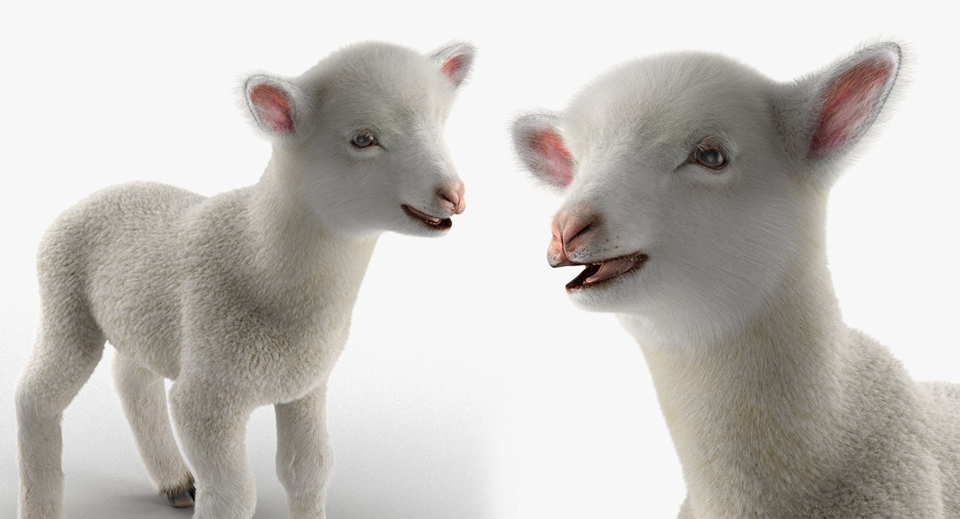 Rigged Farm Animals Big Collection 4 3D model https://p.turbosquid.com/ts-thumb/qN/YQ8afj/l4/rigged_farm_animals_big_collection_4_082/jpg/1765203597/1920x1080/fit_q87/998c126989cb945db2c493d75690a20c0d10d6ba/rigged_farm_animals_big_collection_4_082.jpg