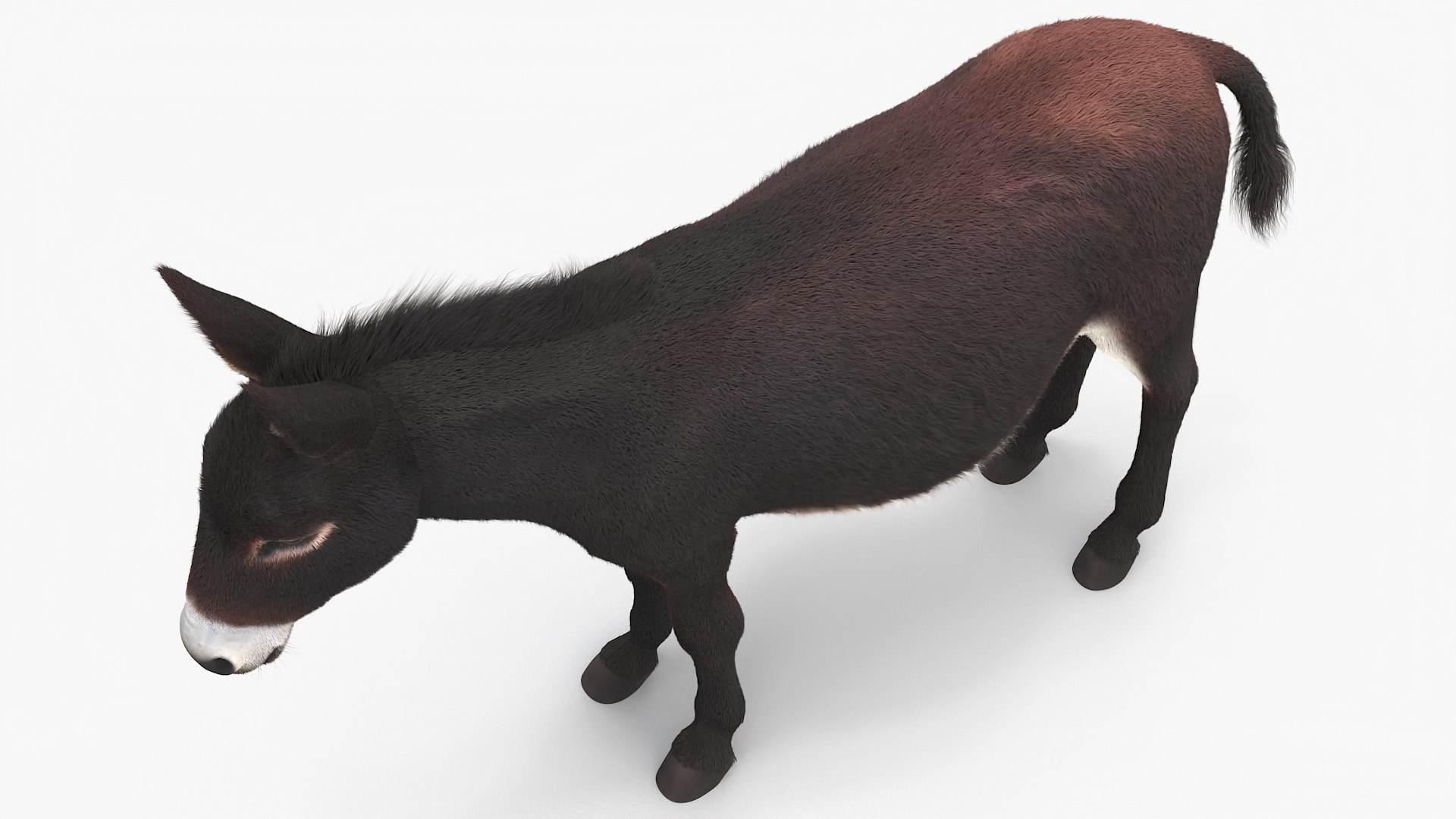 Rigged Farm Animals Big Collection 4 3D model https://p.turbosquid.com/ts-thumb/qN/YQ8afj/qv/rigged_farm_animals_big_collection_4_005/jpg/1765203558/1920x1080/fit_q87/c7c3a8a4e33c115c049b9da1c61a87f2c267f460/rigged_farm_animals_big_collection_4_005.jpg