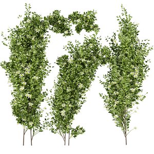 Collection plant vol 337 - outdoor - bush - flower - leaf - blender - cinema 4d - 3dmax 3D model