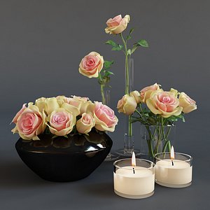 roses candles 3d max