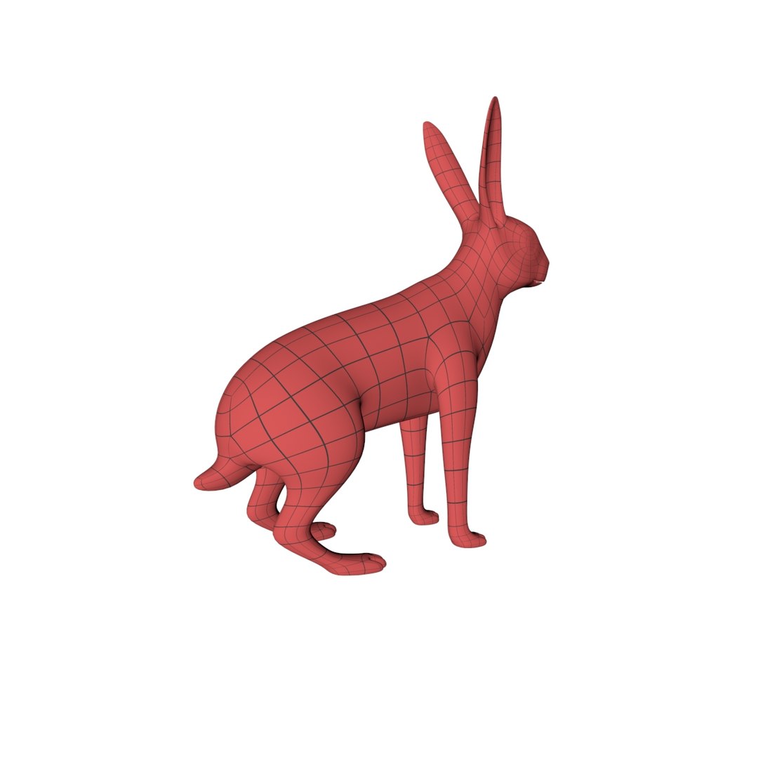 Wild Rabbit Base Mesh 3d C4d