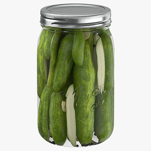 3D pickled jar 02 model